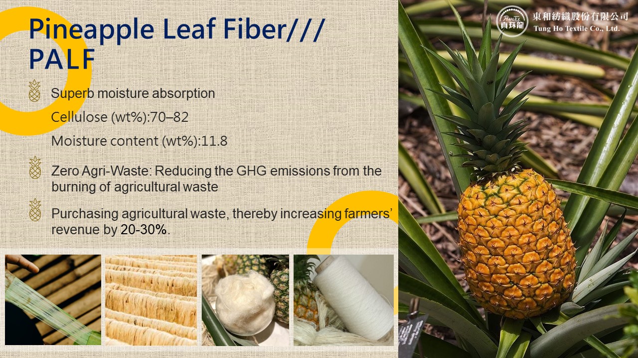 Tung Ho NewsConverting pineapple leaf waste into functional yarn for